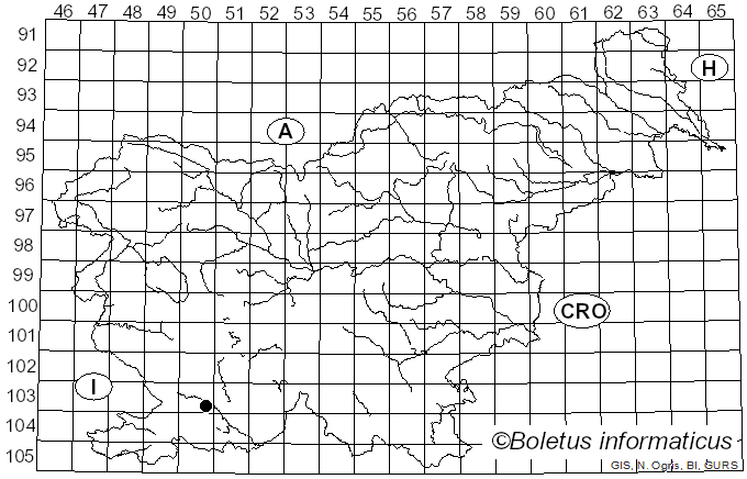 <i>Russula prinophila</i> Sarnari (1988)