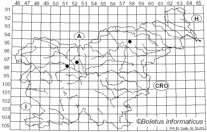 <i>Phaeocollybia festiva</i> (Fr.) R. Heim (1944)