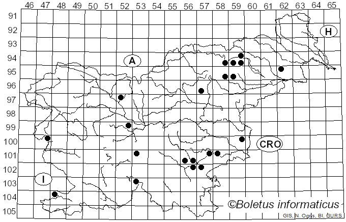 <i>Cortinarius talus</i> Fr. (1838)