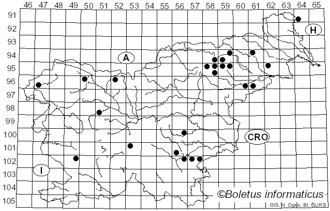 <i>Pseudosperma</i> Matheny & Esteve-Rav. (2019)