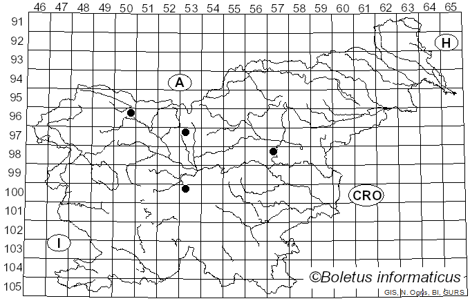 <i>Septoria cyclaminis</i> Durieu & Mont. (1856)