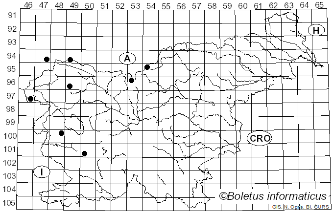<i>Agrilus integrerrimus</i>