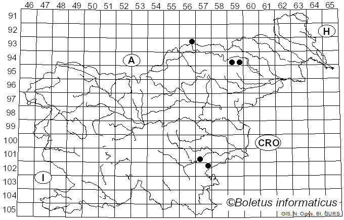 <i>Agaricus pseudopratensis</i> (Bohus) Bohus (1976)