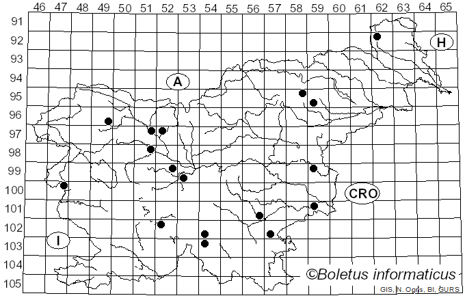 <i>Hebeloma circinans</i> (Quél.) Sacc. (1891)