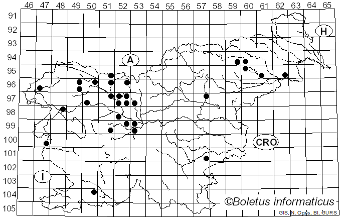 <i>Dumontinia tuberosa</i> (Bull.) L.M. Kohn (1979)
