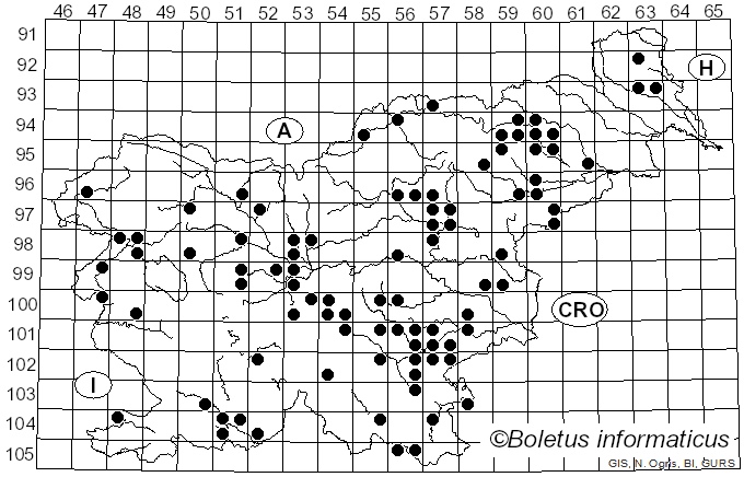 <i>Hericium cirrhatum</i> (Pers.) Nikol. (1950)
