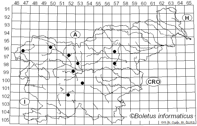 <i>Coprinopsis nivea</i> (Pers.) Redhead, Vilgalys & Moncalvo (2001)