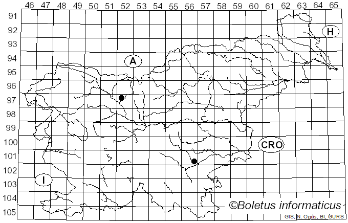 <i>Cortinarius sublanatus</i> (Sowerby) Fr.
