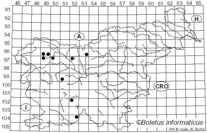 <i>Sphegina sibirica</i> Stackelberg