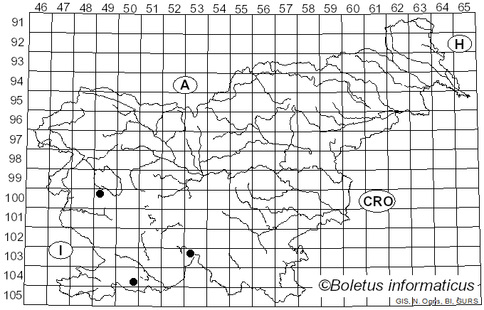 <i>Petractis clausa</i> (Hoffm.) Kremp. (1861)
