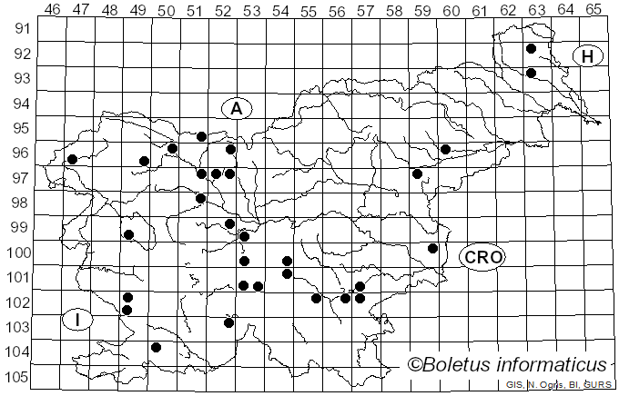 <i>Phyllotopsis nidulans</i> (Pers.) Singer (1936)