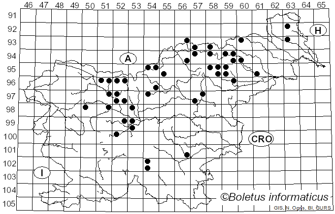 <i>Porphyrellus porphyrosporus</i> (Fr. & Hök) E.-J. Gilbert (1931)