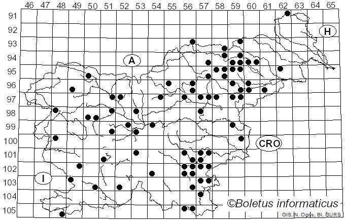 <i>Russula turci</i> Bres. (1881)