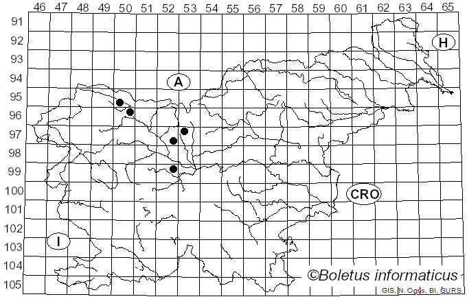 <i>Cymadothea trifolii</i> (Pers.) F.A. Wolf (1935)