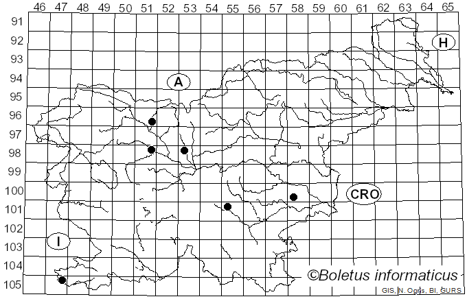 <i>Perichaena depressa</i> Lib. (1837)