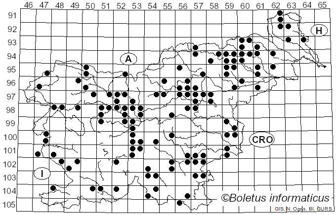 <i>Lepiota clypeolaria</i> (Bull.) Quél. (1871)