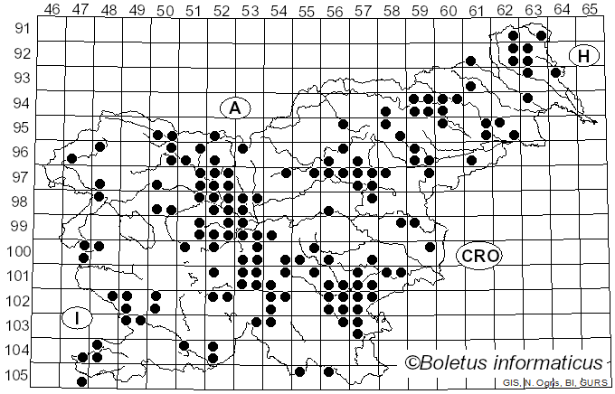 <i>Lyophyllum decastes</i> (Fr.) Singer (1951)