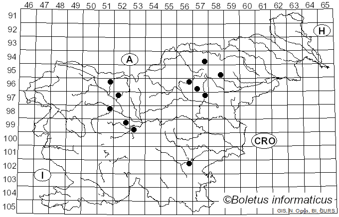 <i>Echinoderma perplexum</i> (Knudsen) Bon (1991)