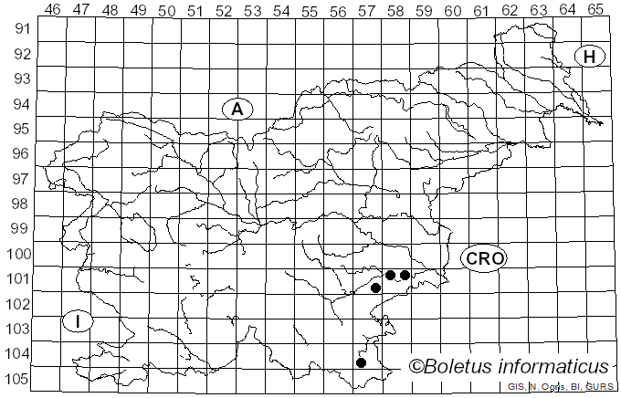 <i>Buglossoporus quercinus</i> (Schrad.) Kotl. & Pouzar (1966)