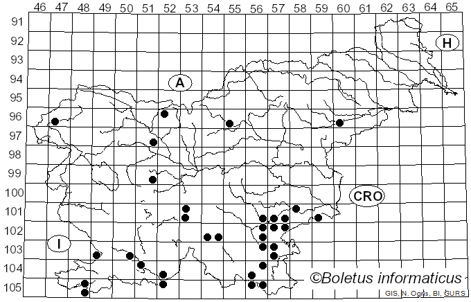 <i>Imperator</i> (Bertéa & Estadès) Assyov et al.