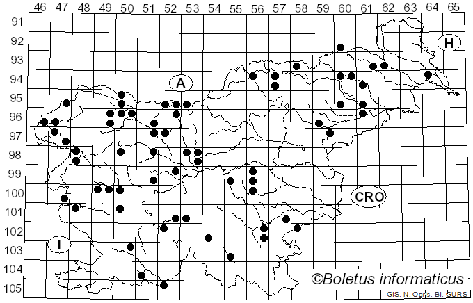 <i>Hymenoscyphus</i> Gray (1821)