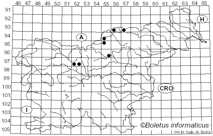 <i>Ips</i>