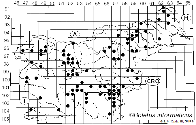<i>Mycena rosella</i> (Fr.) P. Kumm. (1871)