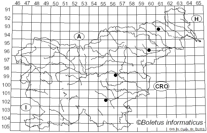<i>Antrodia heteromorpha</i> (Fr.) Donk (1961)