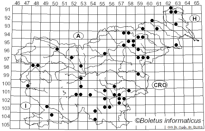 <i>Xylodon radula</i> (Fr.) Ţura, Zmitr., Wasser & Spirin (2011)