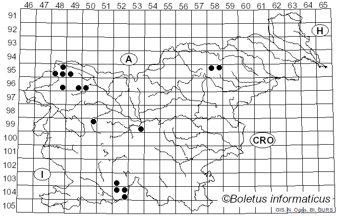 <i>Bryoria nadvornikiana</i> (Gyeln.) Brodo & D. Hawksw. (1977)