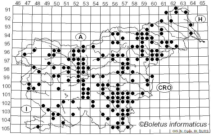 <i>Cyathus striatus</i> (Huds.) Willd. (1787)