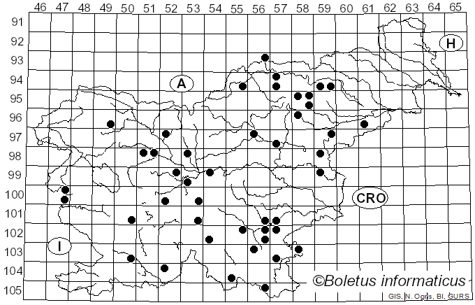 <i>Russula amethystina</i> Quél. (1897)