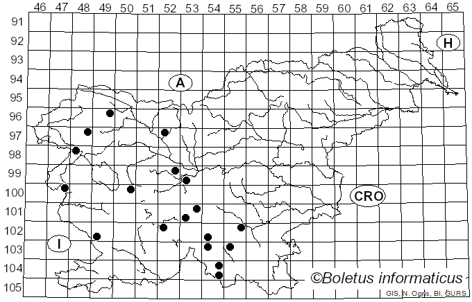 <i>Limacella glioderma</i> (Fr.) Maire (1924)