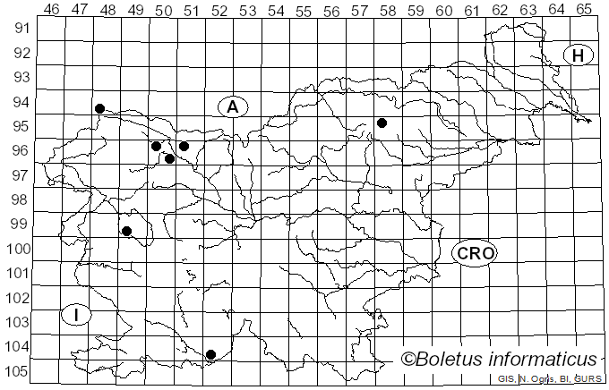 <i>Helvella confusa</i> Harmaja (1977)