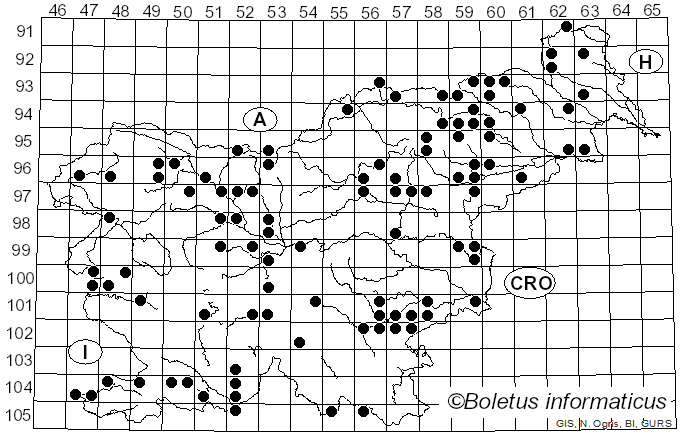 <i>Conocybe</i> Fayod (1889)