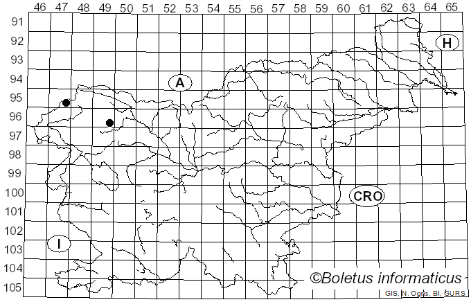 <i>Hymenoscyphus lutescens</i> (Hedw.) W. Phillips (1887)