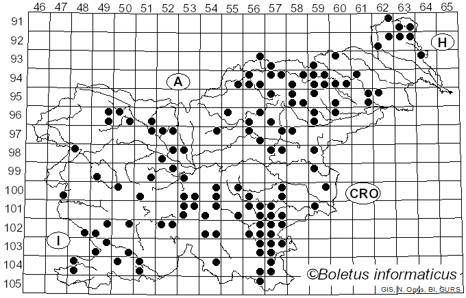 <i>Amaropostia stiptica</i> (Pers.) B.K. Cui, L.L. Shen & Y.C. Dai (2018)