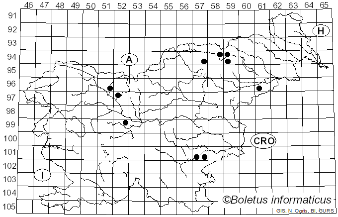 <i>Cantharellus romagnesianus</i> Eyssart. & Buyck (1999)