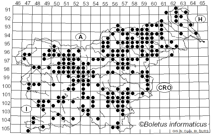 <i>Russula ochroleuca</i> (Pers.) Fr. (1838)