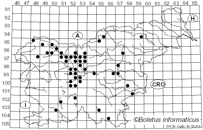 <i>Septoria</i> Sacc. (1884)