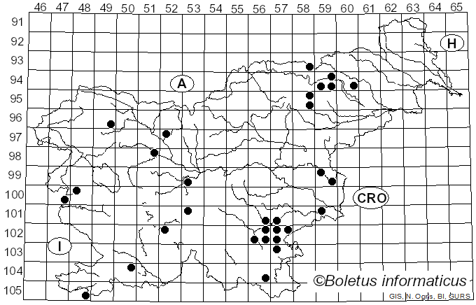<i>Mycena vitilis</i> (Fr.) Quél. (1872)