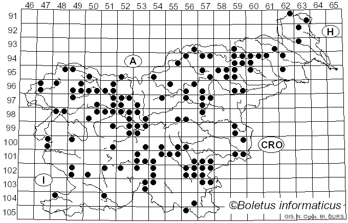 <i>Lactarius aurantiacus</i> (Pers.) Gray (1821)