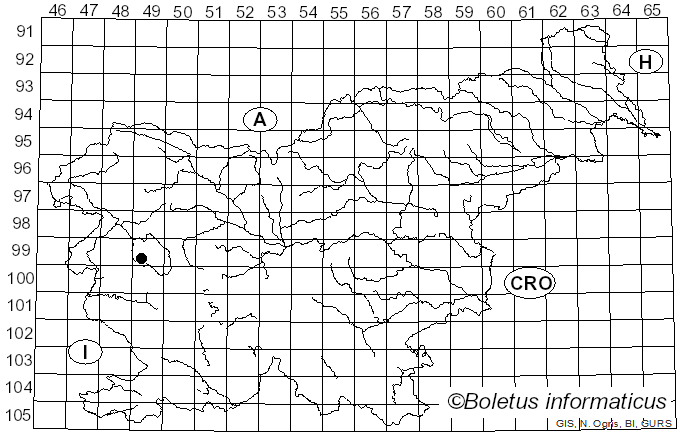 <i>Helvella calycina</i> Skrede, T.A. Carlsen & T. Schumach. (2017)