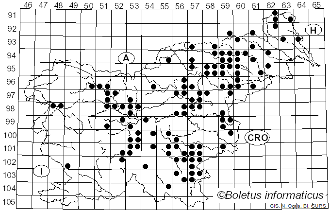 <i>Russula solaris</i> Ferd. & Winge (1924)