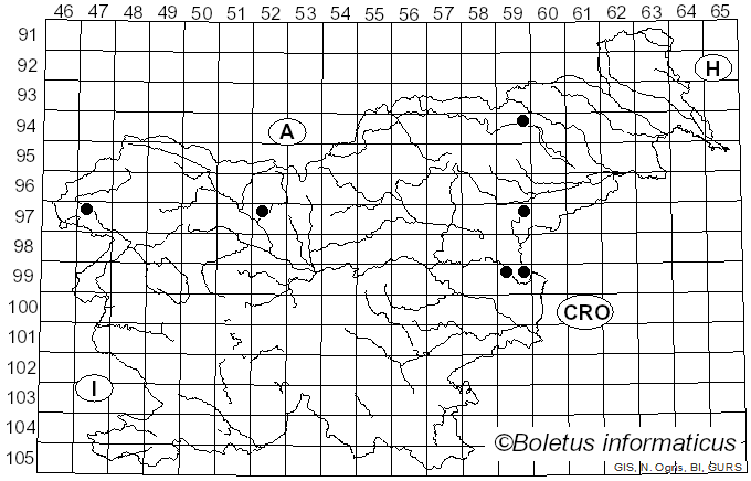 <i>Typhula filiformis</i> (Bull.) Fr. (1838)