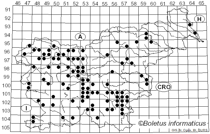 <i>Calonarius odorifer</i> (Britzelm.) Niskanen & Liimat. (2022)
