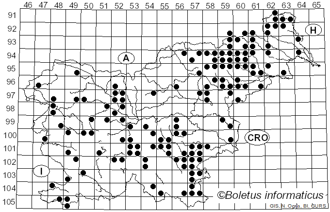 <i>Stereum subtomentosum</i> Pouzar (1964)