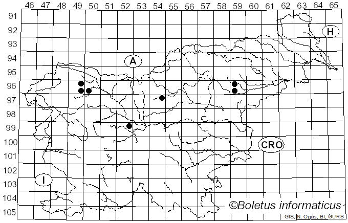 <i>Psilocybe semilanceata</i> (Fr.) P. Kumm. (1871)