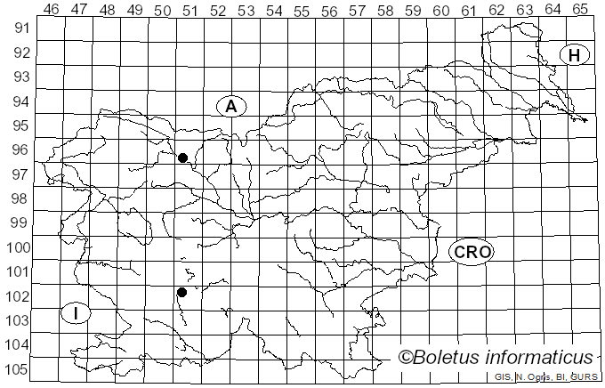 <i>Wettsteinina mirabilis</i> (Niessl) Höhn. (1907)