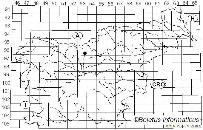 <i>Coprinopsis cerkezii</i> Tkalčec, Mešić, I. Kušan & Matočec (2017)